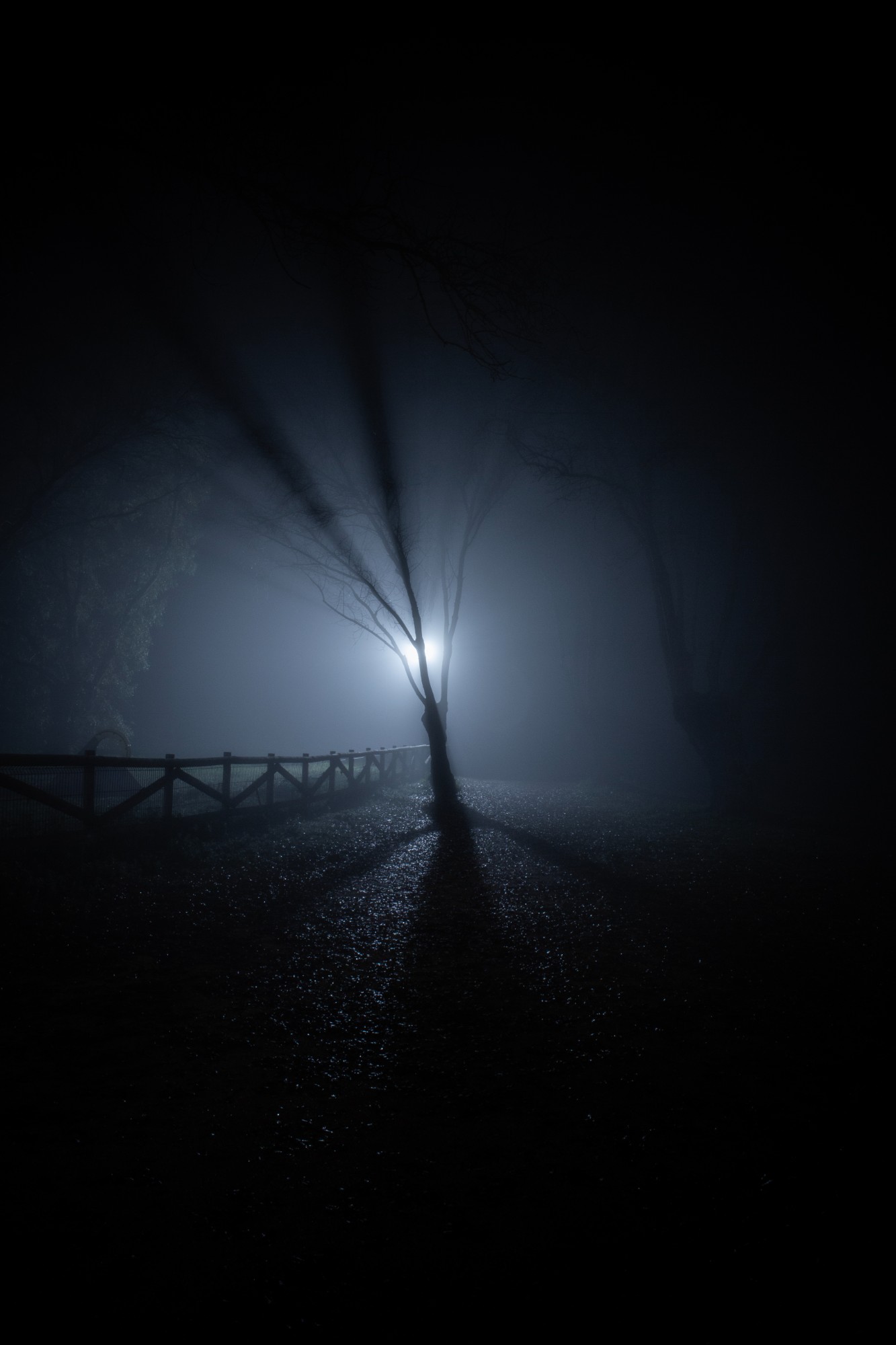 https://imagedelivery.net/BXluQx4ige9GuW0Ia56BHw/f7199144-110f-4ce0-c4be-31b610308300/original