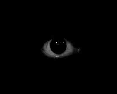 qazzaq.eth pfp