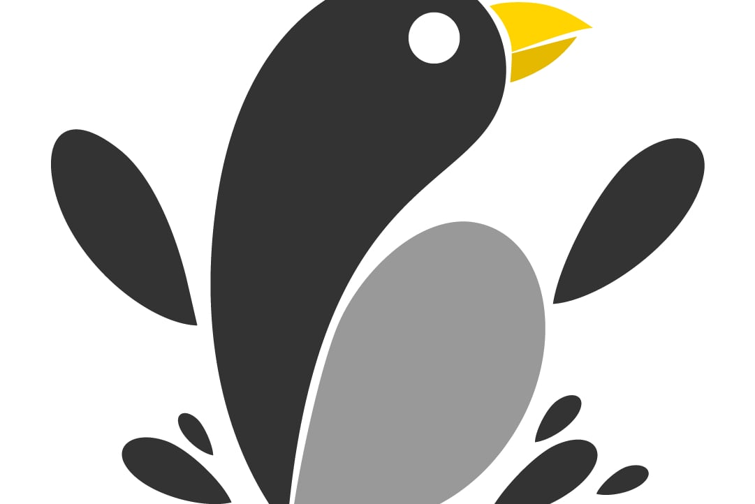 Shona Labs pfp