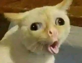 Sipalingkrito pfp