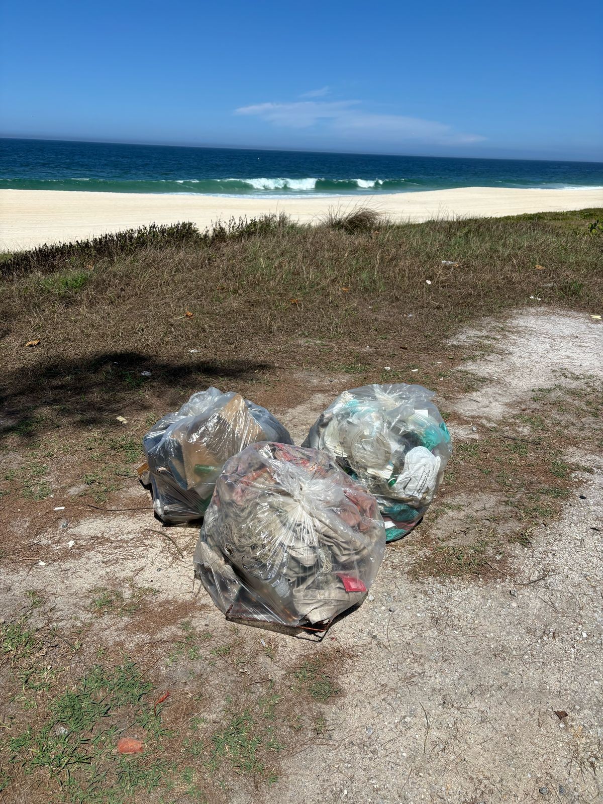 Bags of collected trash on the beach