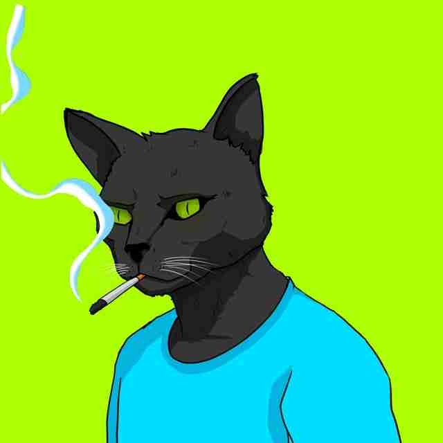 Kaswiz pfp