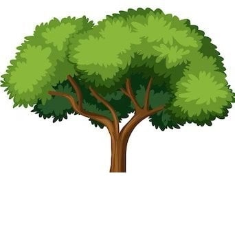 zosiatek12 (zosiatek12.lens) Lens social identity (.lens handle) PFP