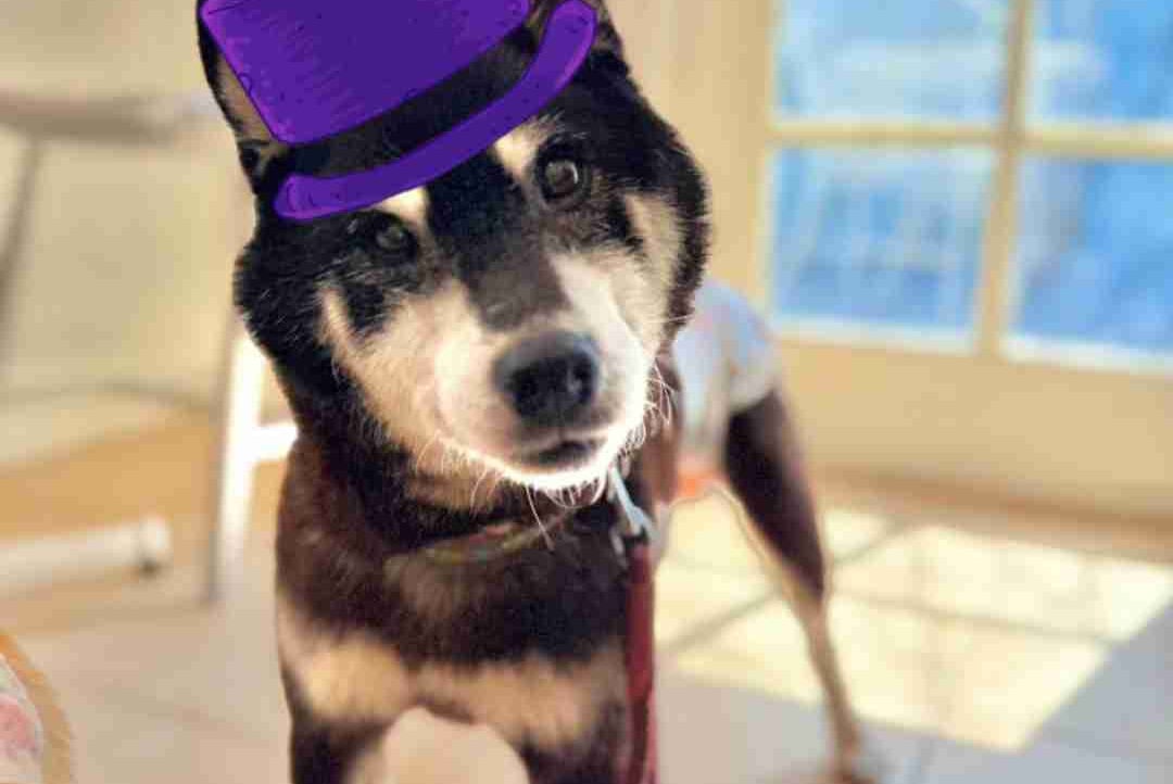 DEGEN COCORO's Farcaster avatar