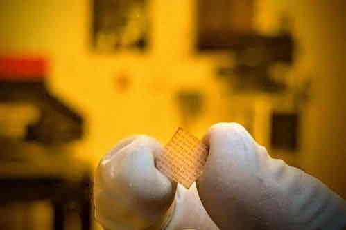 0082800.lens Lens social identity (.lens handle) PFP