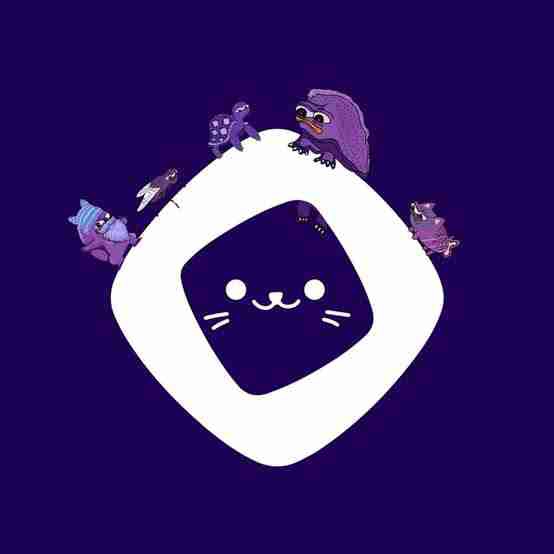 NAHAL AHMED NOEL (gmonadxyz) Farcaster social identity (Fname handle) PFP