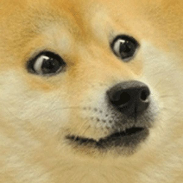 xanderthal.eth pfp