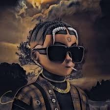 AB RANI pfp