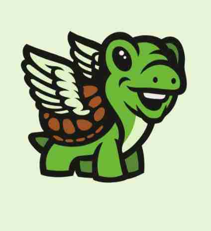 Turtle angel pfp
