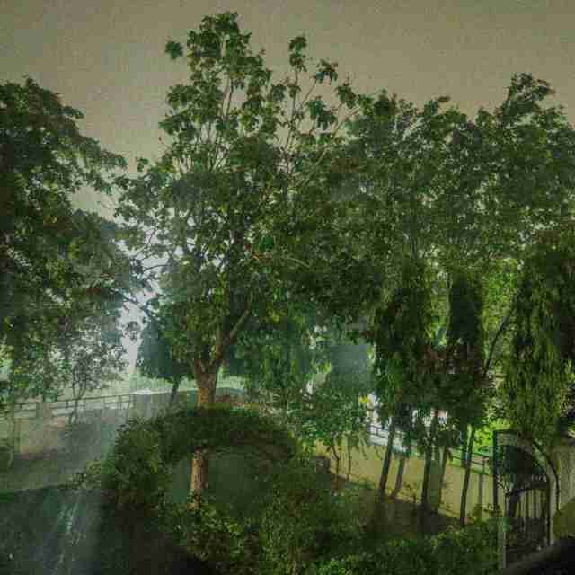 anirudhjaat.lens Lens social identity (.lens handle) PFP