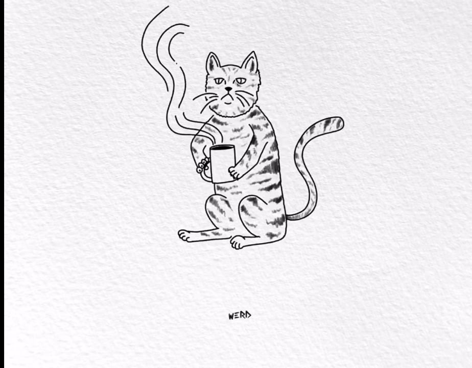 Tommy Chaos (proofoftom.eth) Farcaster social identity (Fname handle) PFP