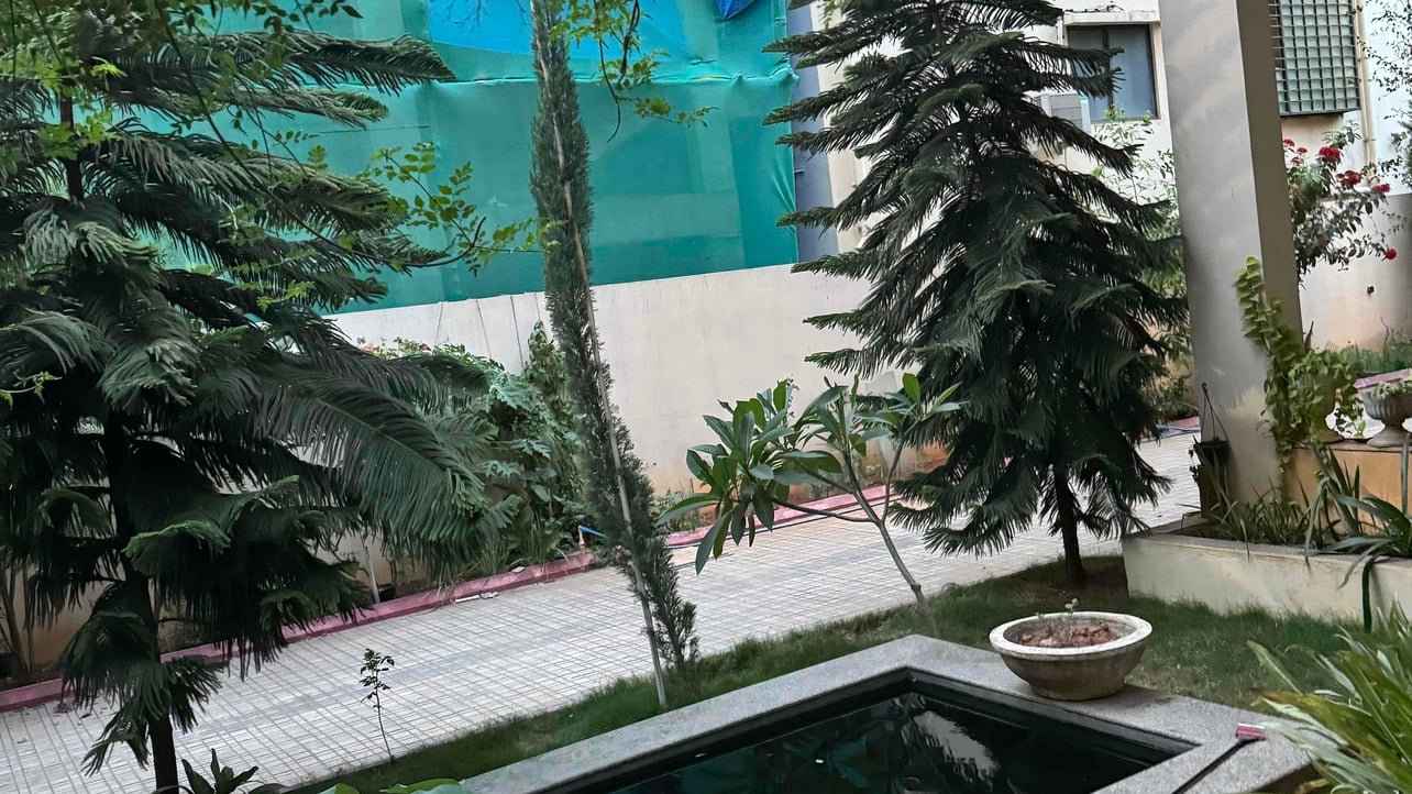 Kamran (kaamz.lens) Lens social identity (.lens handle) PFP