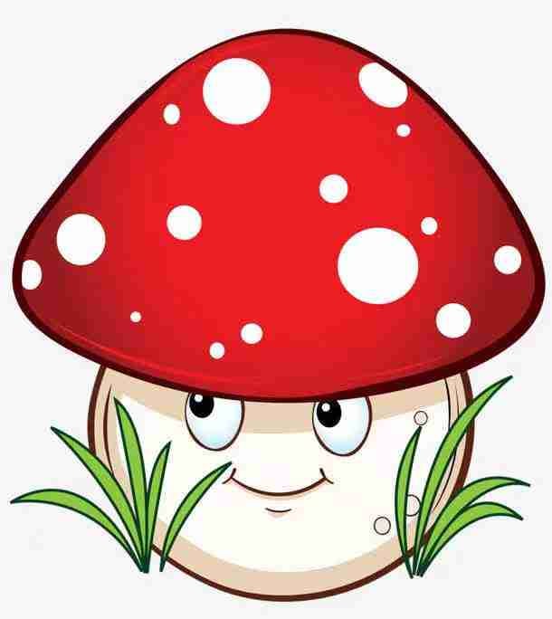 https://imagedelivery.net/BXluQx4ige9GuW0Ia56BHw/fc1e44fe-f4a8-4bd1-4241-de28be887200/original