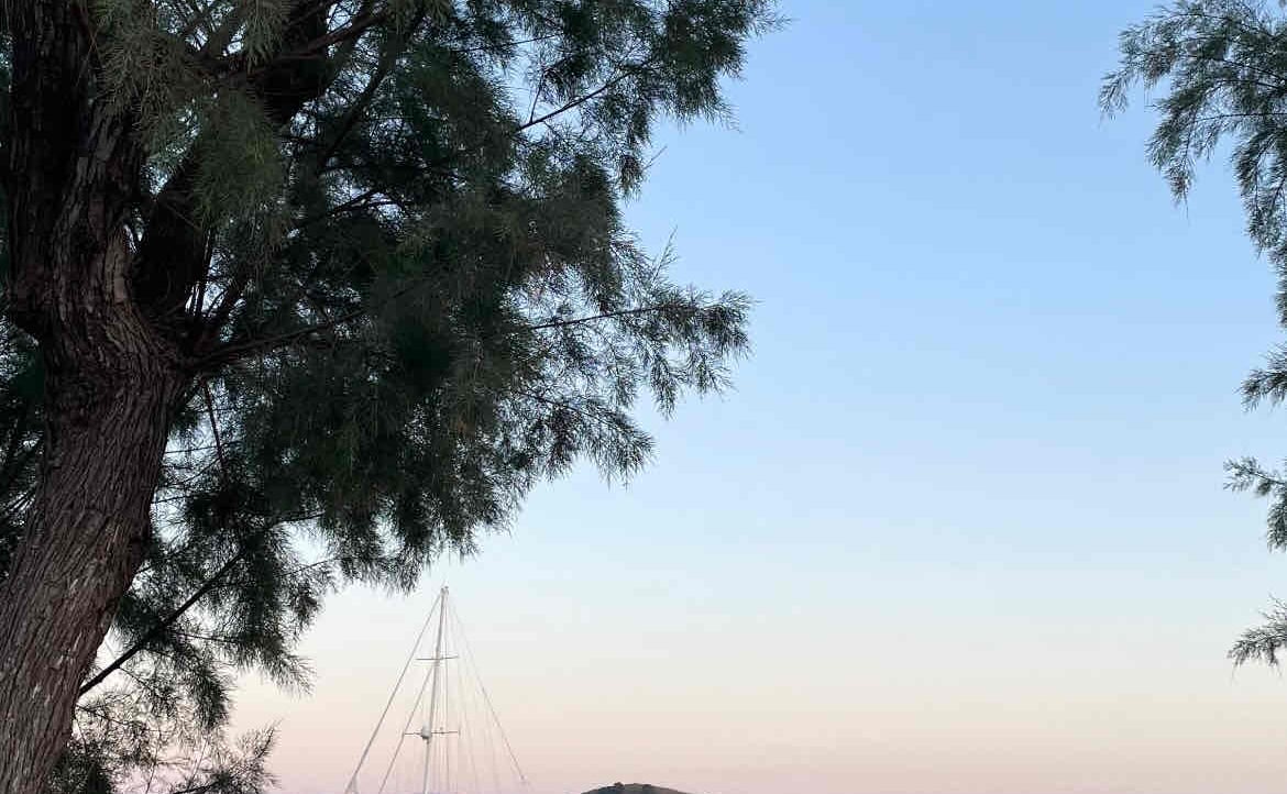 gonul6970.lens Lens social identity (.lens handle) PFP