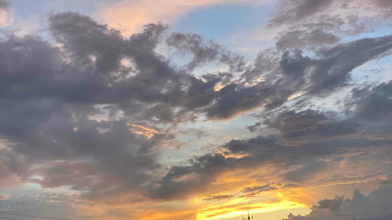 ussy1256.linea.eth Linea Name Service (.linea.eth domains) based on ENS PFP