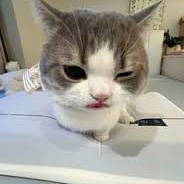 Semixxx (semdua) Farcaster social identity (Fname handle) PFP