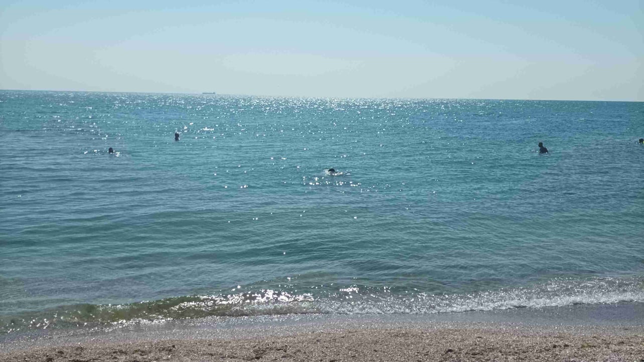 Yogames (natasha228) Farcaster social identity (Fname handle) PFP