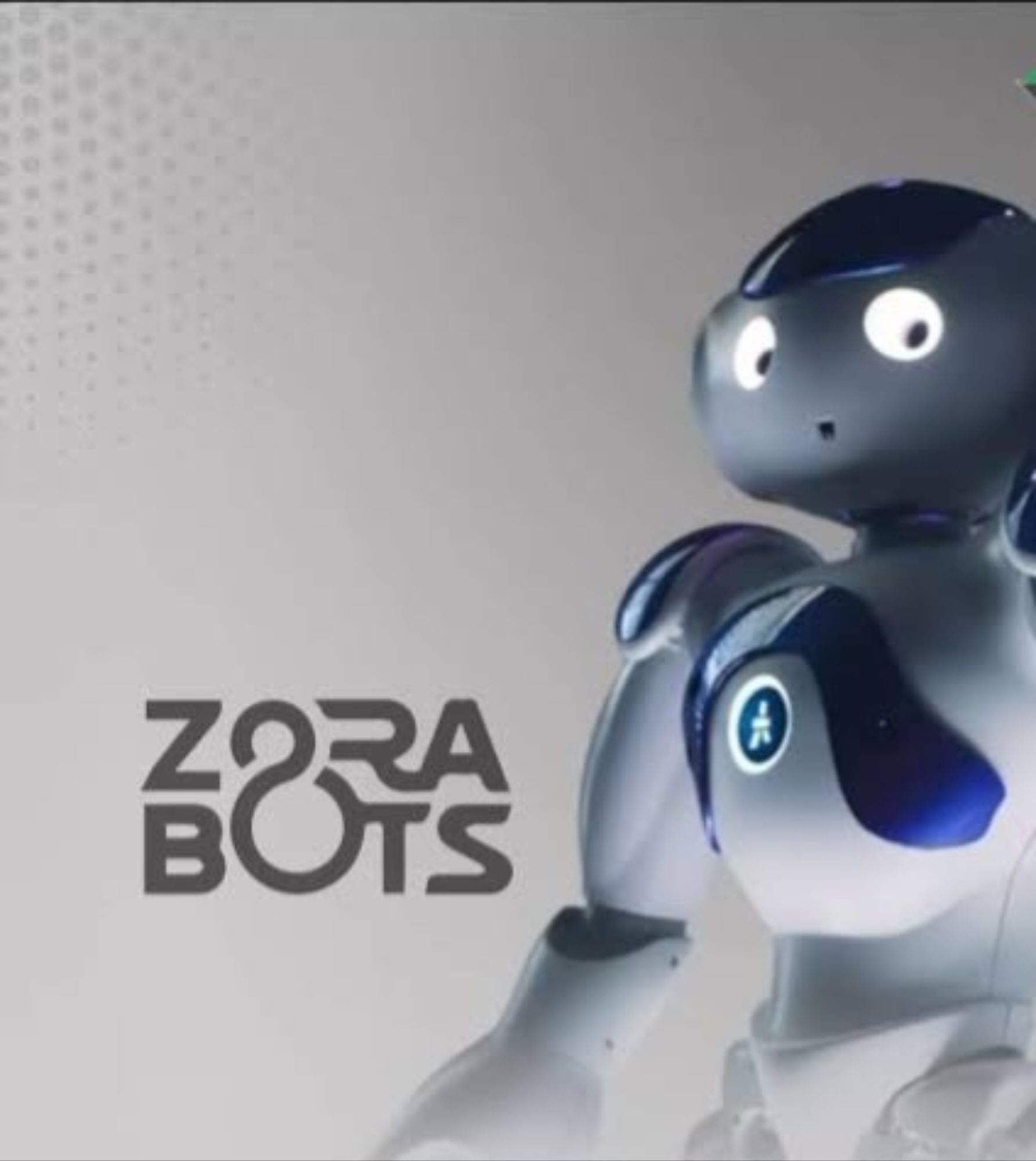 ZORABOTS