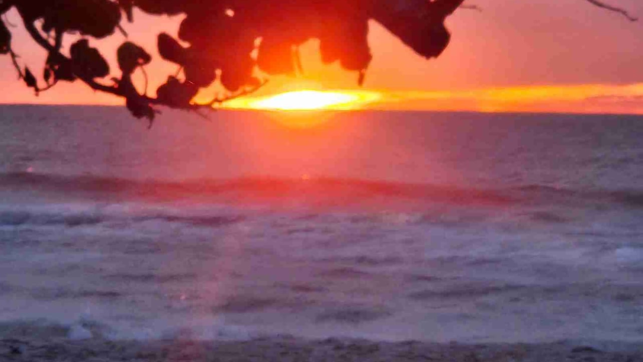 Andrii  (groada) Farcaster social identity (Fname handle) PFP