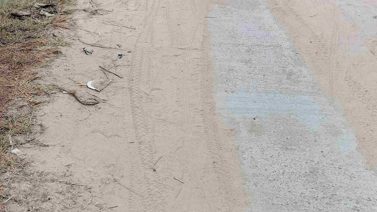 1010og.lens Lens social identity (.lens handle) PFP