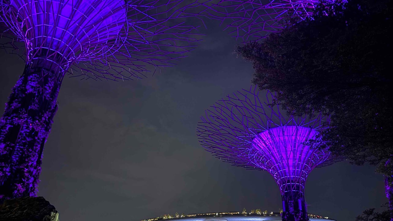 szpadyzor (szpadyzor.lens) Lens social identity (.lens handle) PFP