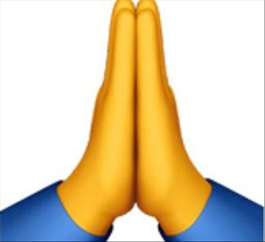 pls bro