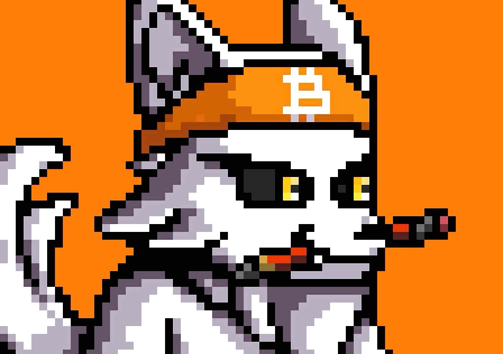 Berry pfp