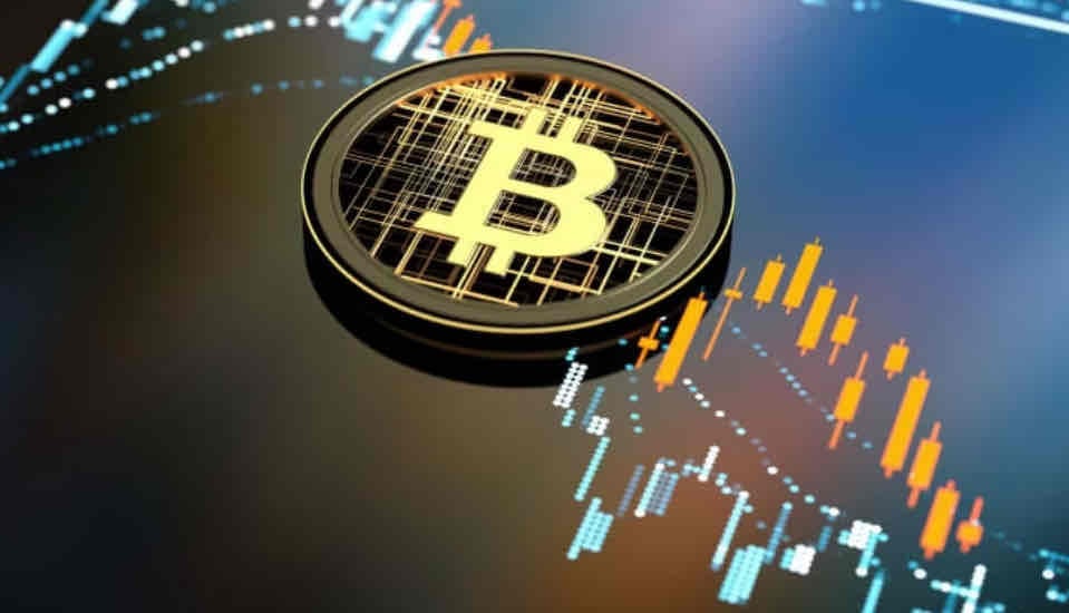 RedAlphaLion (redalphalion.lens) Lens social identity (.lens handle) PFP