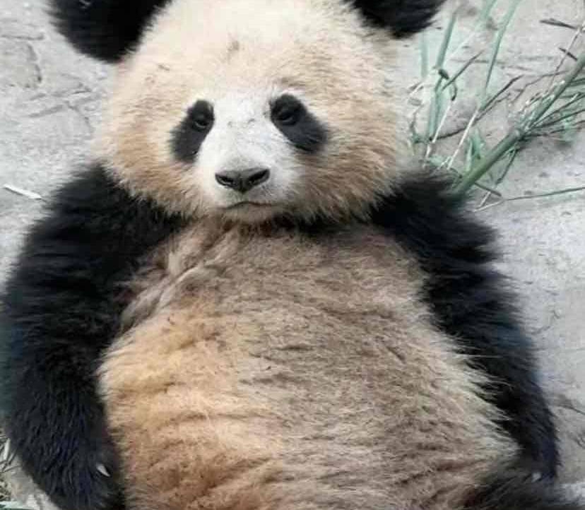 hppppp Farcaster social identity (Fname handle) PFP