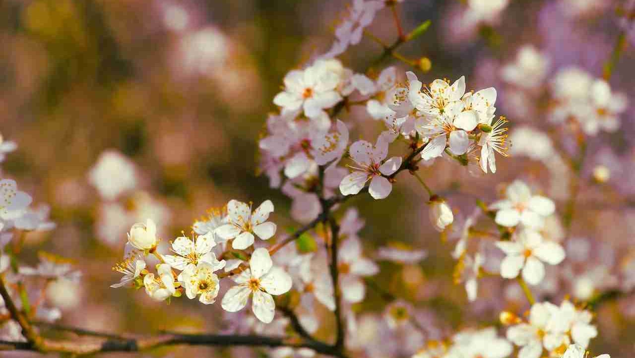 blackgirl899
 (blackgirl899) Farcaster social identity (Fname handle) PFP