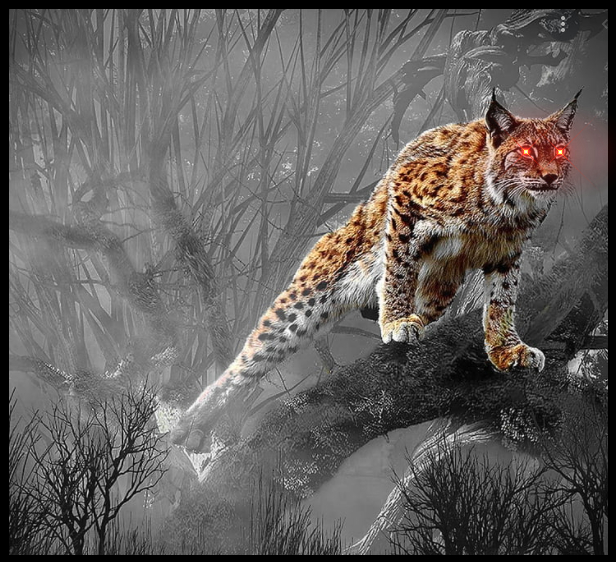 Fidel Garza (fidelkeynet.eth) Farcaster social identity (Fname handle) PFP