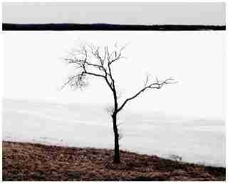 Chelik◱ ◱ (hfdhdthdhg.lens) Lens social identity (.lens handle) PFP