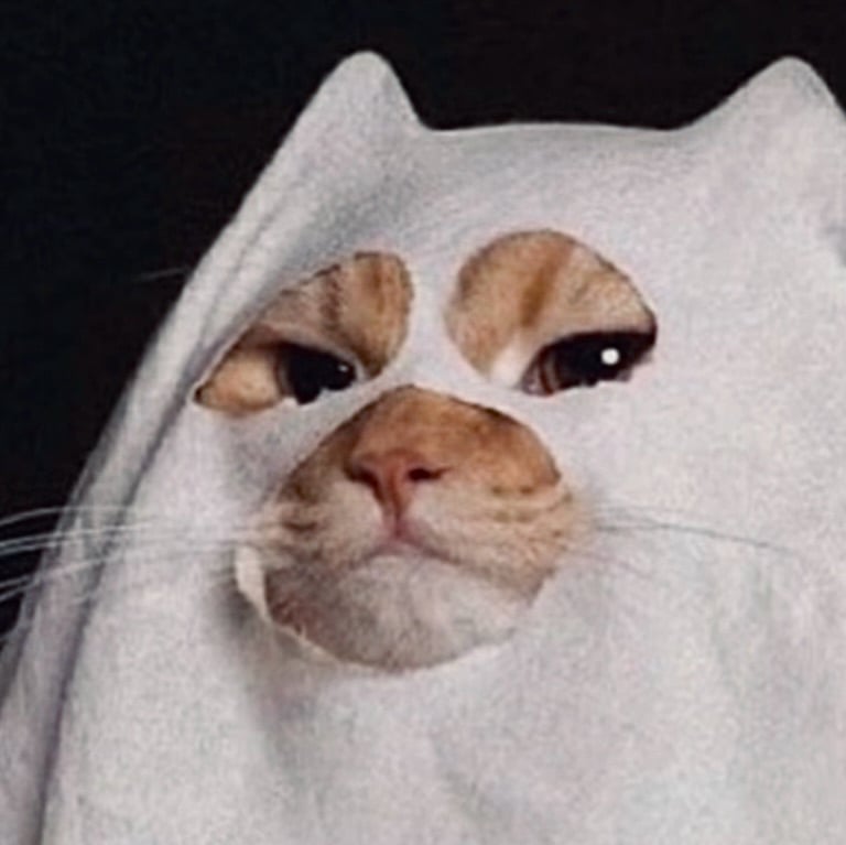chalinosghost pfp