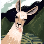 zhonghaitrao pfp