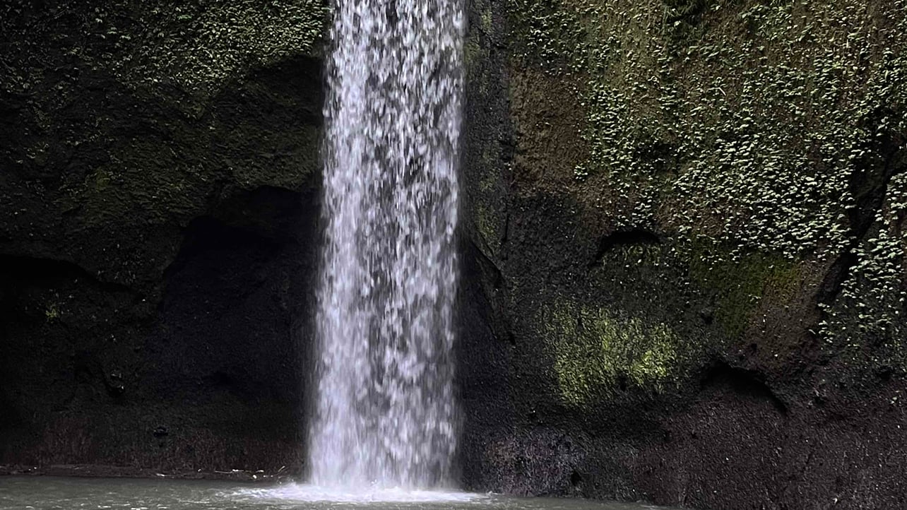 maxsergienko.lens Lens social identity (.lens handle) PFP