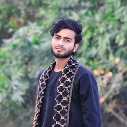 MSH SABBIR (Ø,G) .nad 🍊,💊 pfp