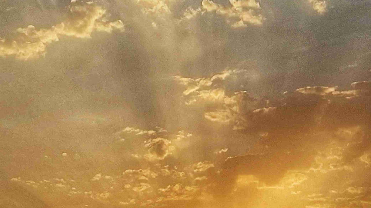 Akjhope (akjhope.lens) Lens social identity (.lens handle) PFP