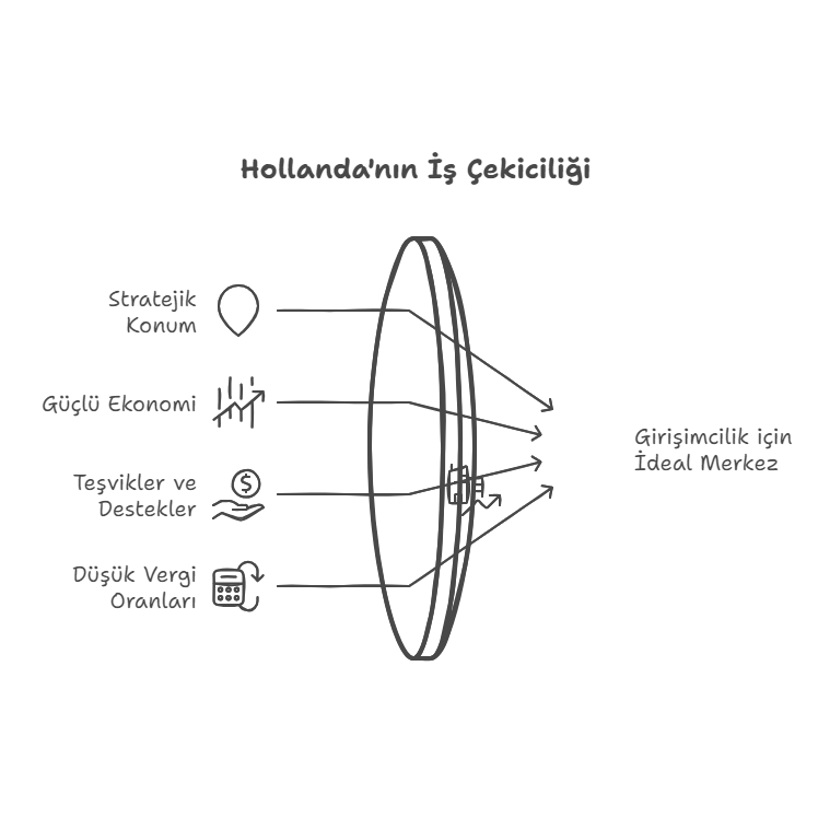 Hollanda’da Şirket Kuruluşu