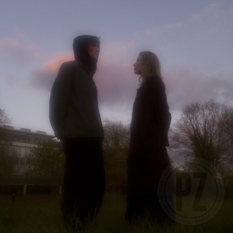 The Healing Power of Horses debut EP "Summer Indoors (or outside wearing black)" out now - news image for article by Ove Svensson