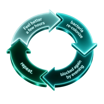 The cycle: feel better for a few hours, bacteria re-colonize, blocked again by evening, repeat.