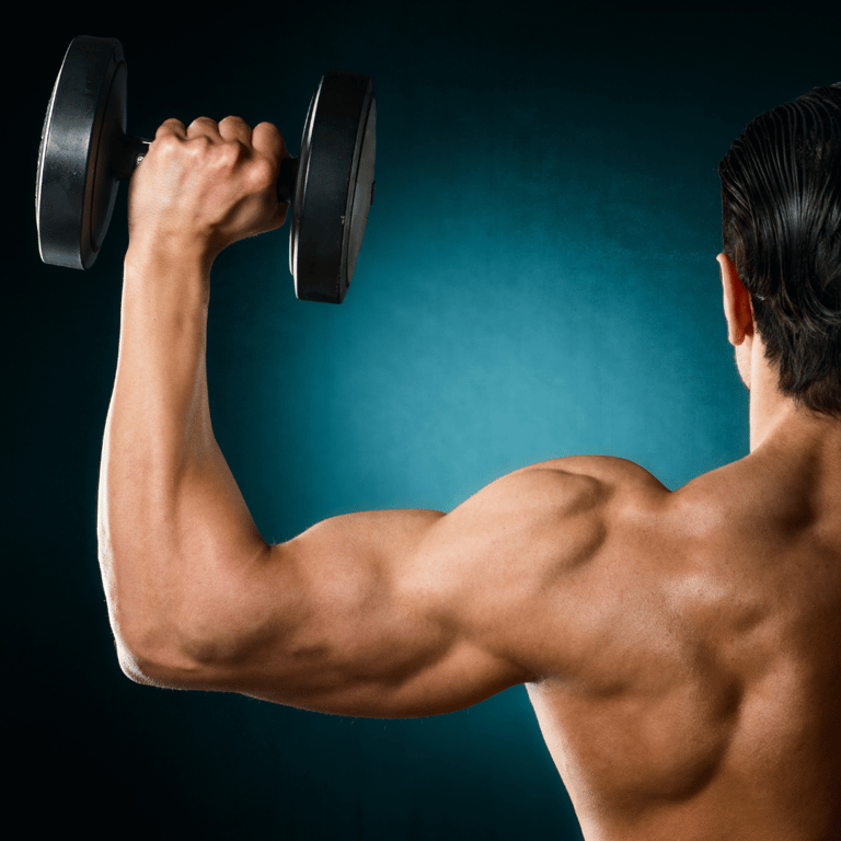 Shoulder Workout Bodybuilding Mastery: From Beginner to Pro in 8 Weeks