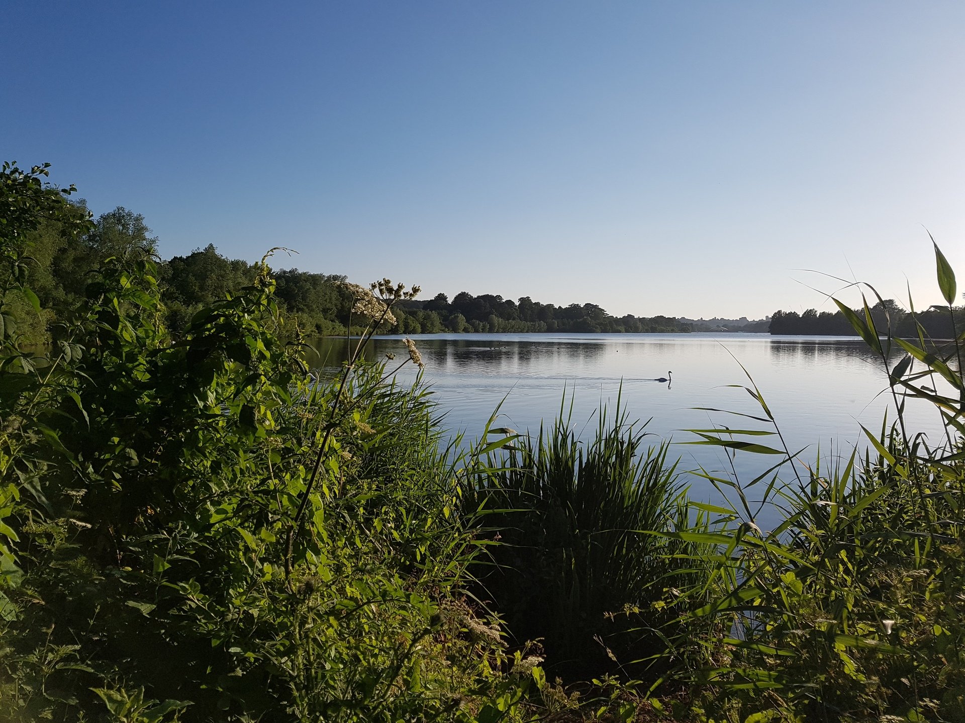 Whitlingham Country Park