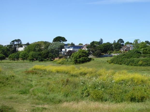 The Maer Nature Reserve 