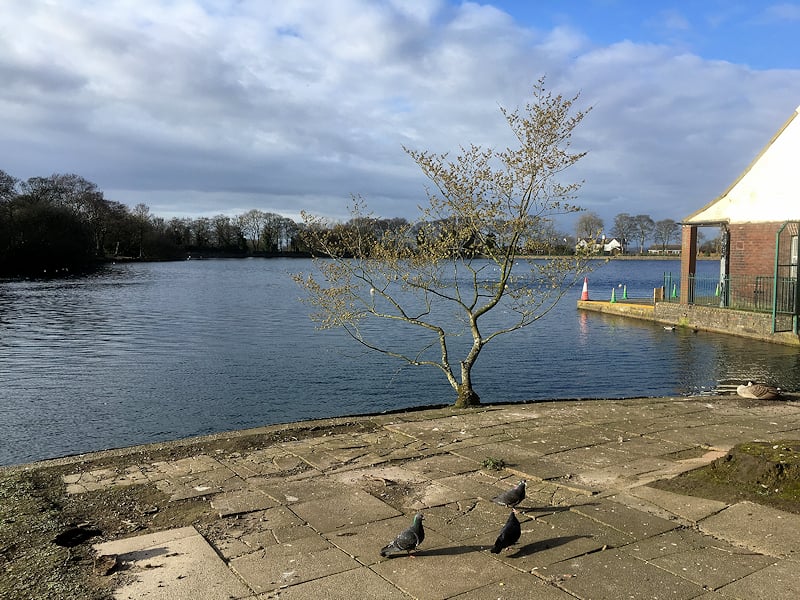 Taylor Park