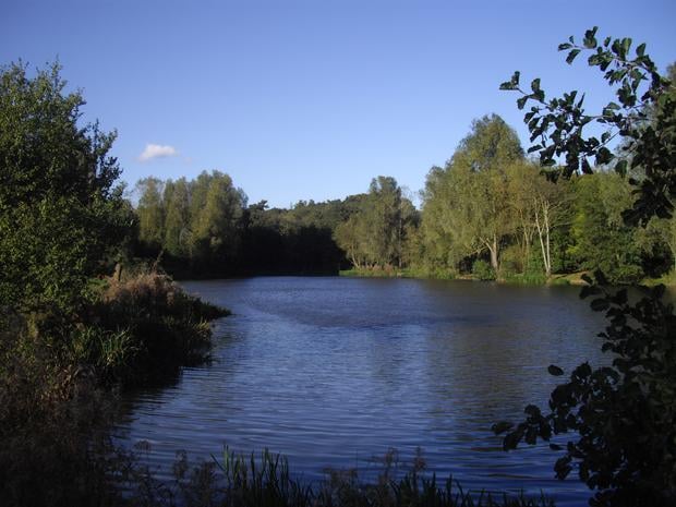 High Woods Country Park