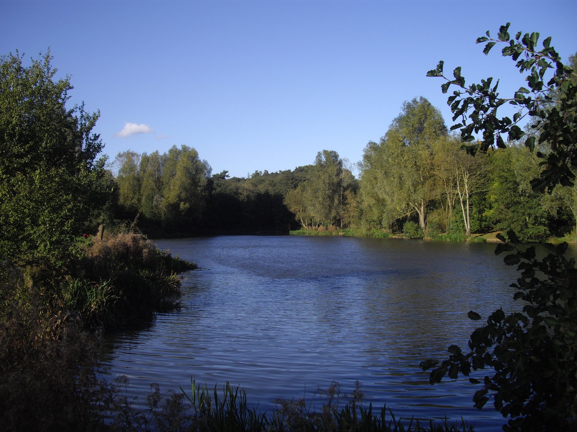 Hotels near High Woods Country Park, United Kingdom from Best Western Hotels
