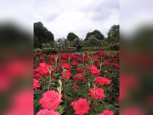 Queen Mary's Garden