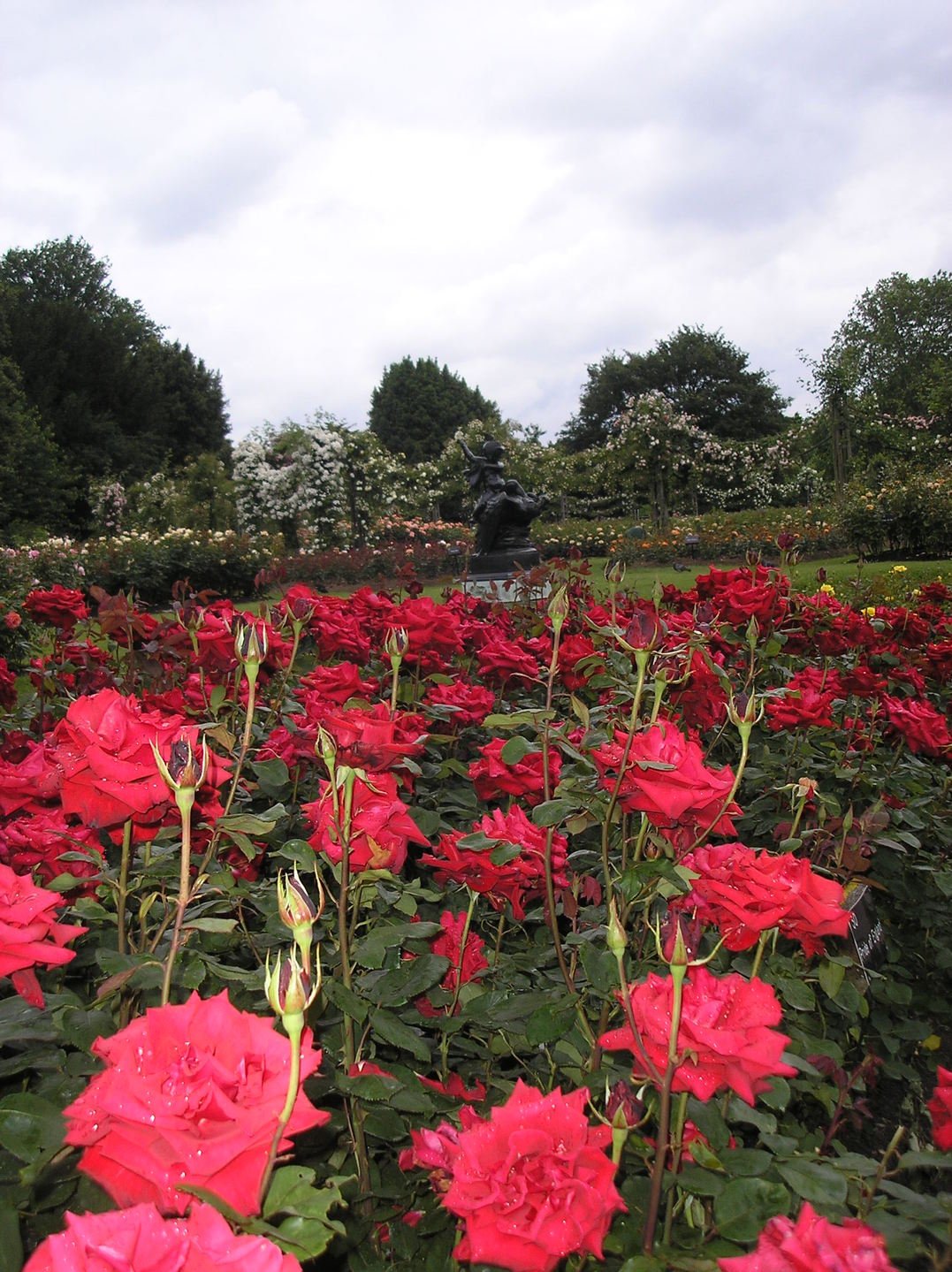 Queen Mary's Garden