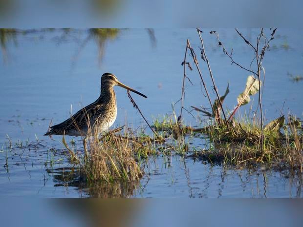 Hotels near RSPB Lodmoor, United Kingdom from Best Western Hotels