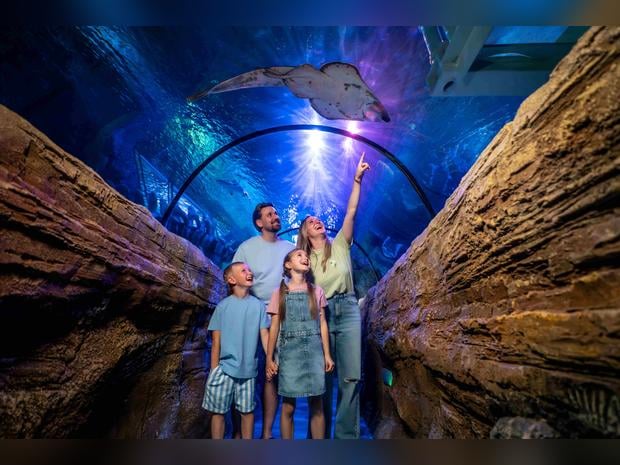 Sea Life Blackpool